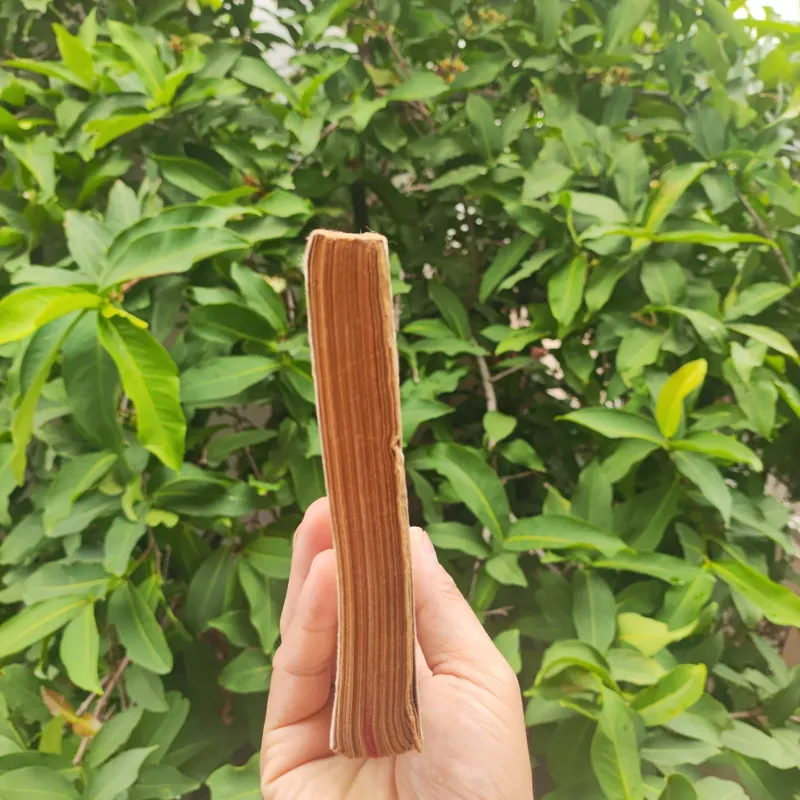 Những Quy Luật Chính Trị Trong Sử Việt - Vũ Tài Lục 561054