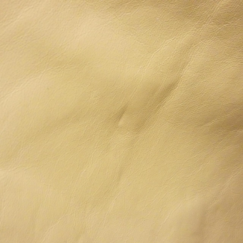 Túi Chanel - Hàng hiệu Authentic 805266