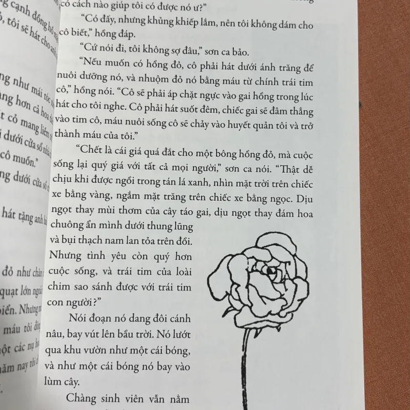 Hoàng tử hạnh phúc 🌊 714066