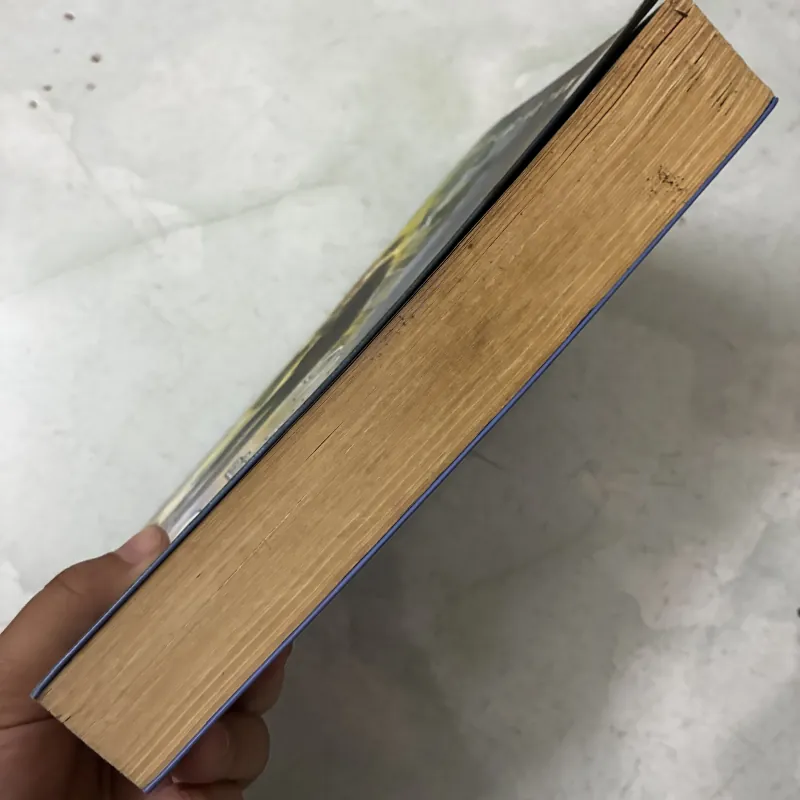 Nụ hôn của sói - Diệp Lạc Vô Tâm 1040097