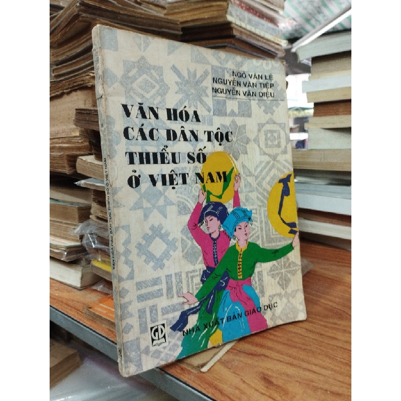 Văn hóa các dân tộc thiểu số ở Việt Nam 189492