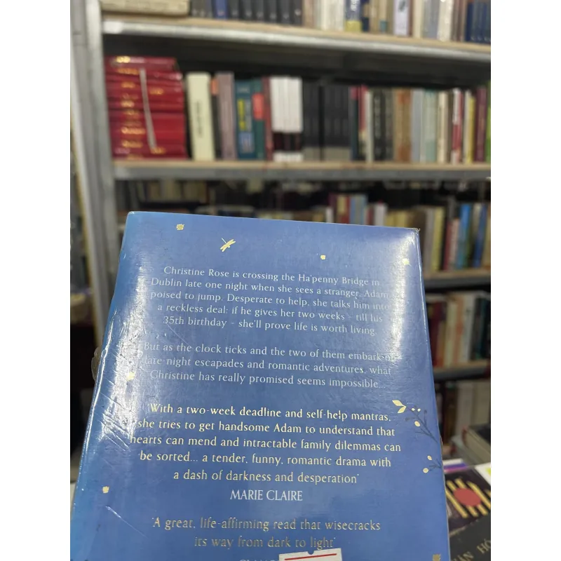 HOW TO FALL IN LOVE (LÀM THẾ NÀO ĐỂ RƠI VÀO TÌNH YÊU) - CECELIA AHERN 957489