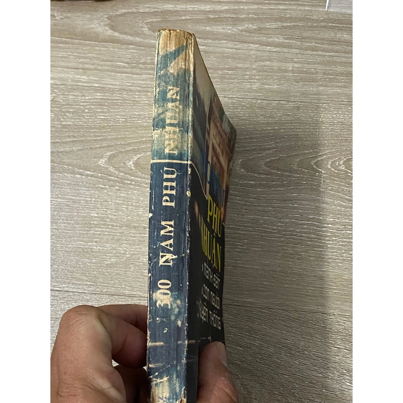 300 năm Phú Nhuận - Mảnh đất - Con người - Truyền thống (Trần Bạch Đằng, 1989) 479809