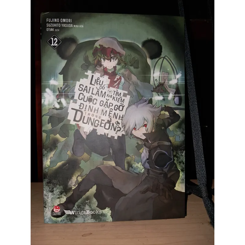 Liệu có sai lầm khi tìm kiếm cuộc gặp gỡ trong Dungeon Tập 12 707990