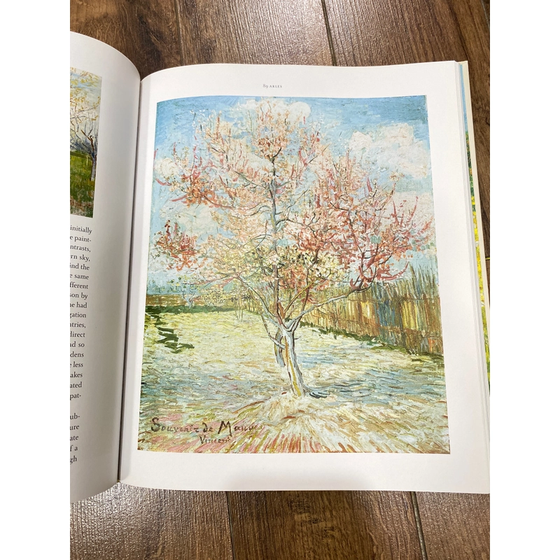 Van Gogh Paintings • The Masterpieces | by Blenda Thompson * Thames and Hudson Publisher  384217