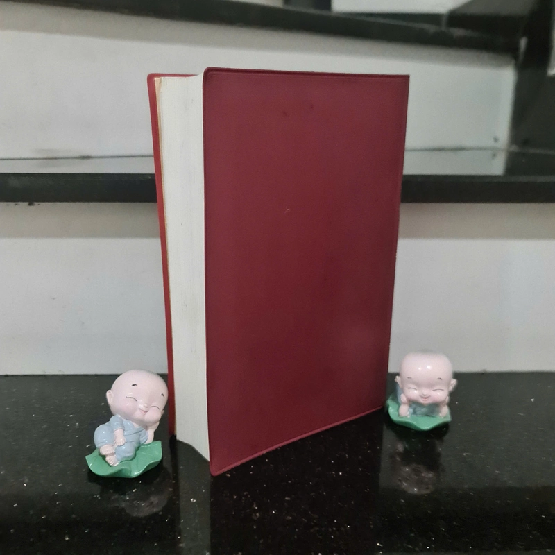 Sách KINH THÁNH TÂN ƯỚC VÀ CỰU ƯỚC BẢN IN 1990 Ở HẢI NGOẠI 470963