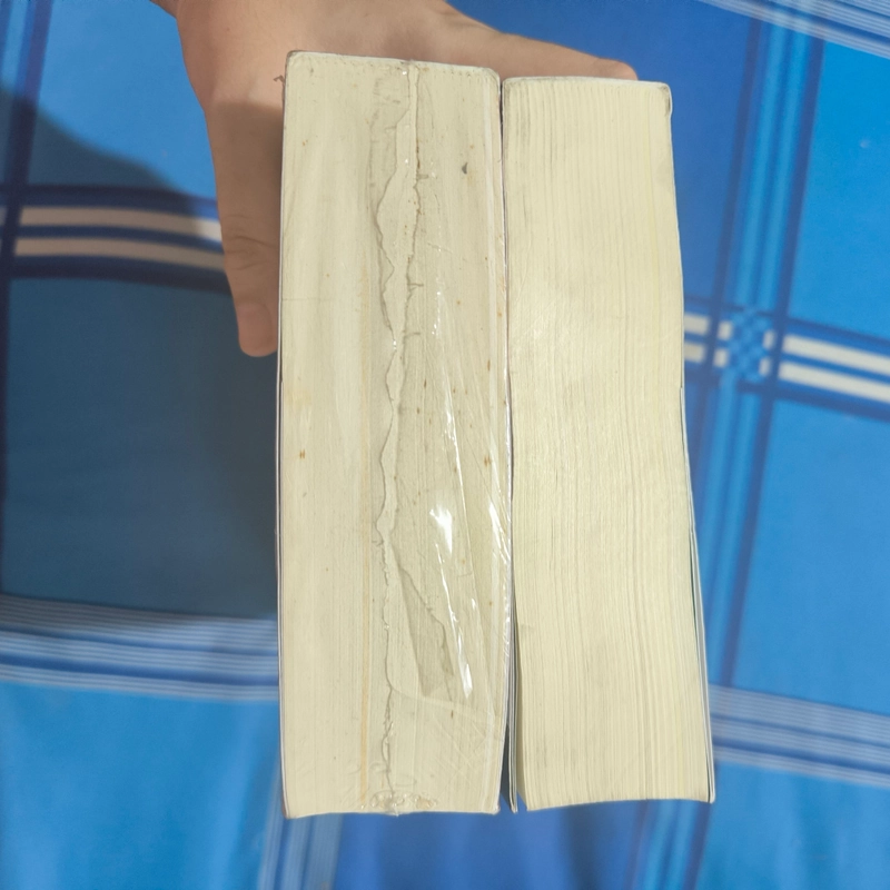 Tam quốc diễn nghĩa (Trọn bộ 2 tập) - La Quán Trung - Giá bìa 348k - Đinh Tị 462307