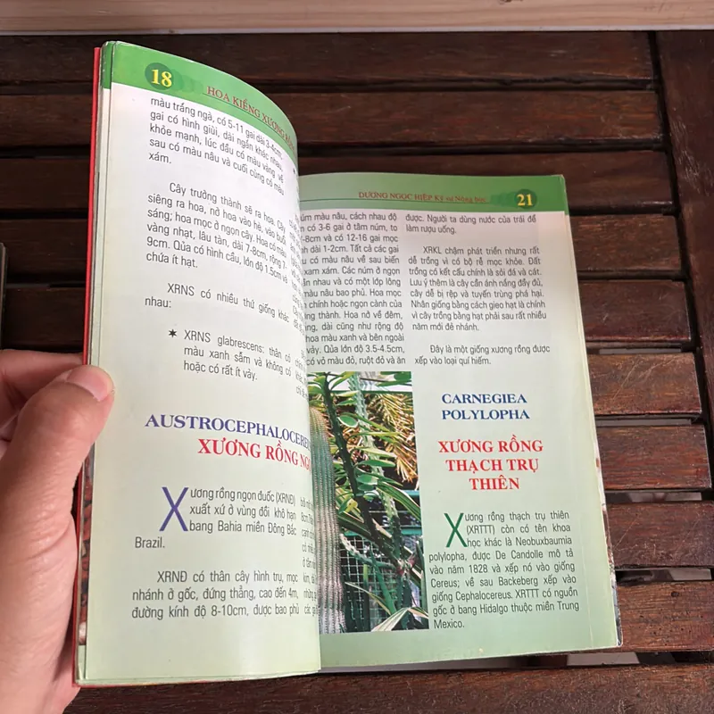 II Cây Cảnh: Xương Rồng Và Cây Mọng Nước (Sách Màu) - Dương Ngọc Hiệp 718583