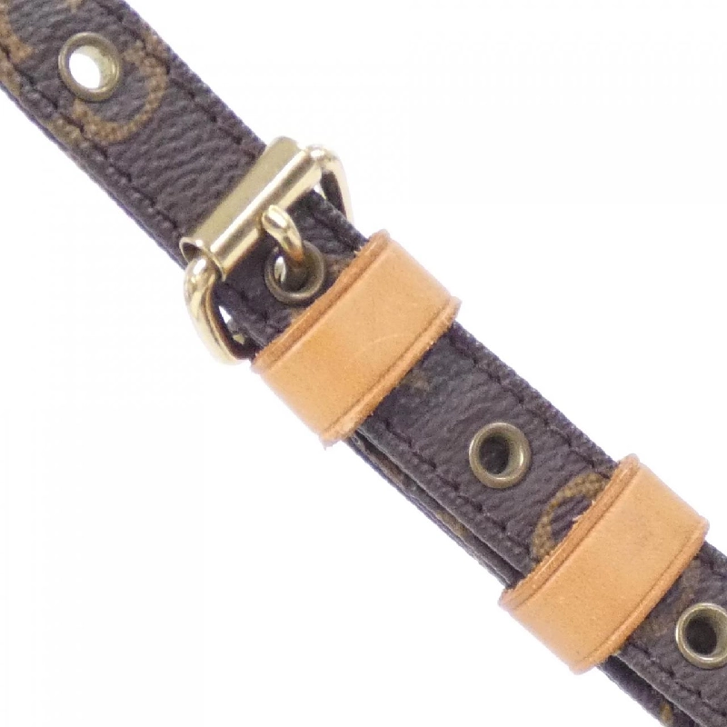 Túi đeo vai Louis Vuitton Monogram Amazon M45236 613243