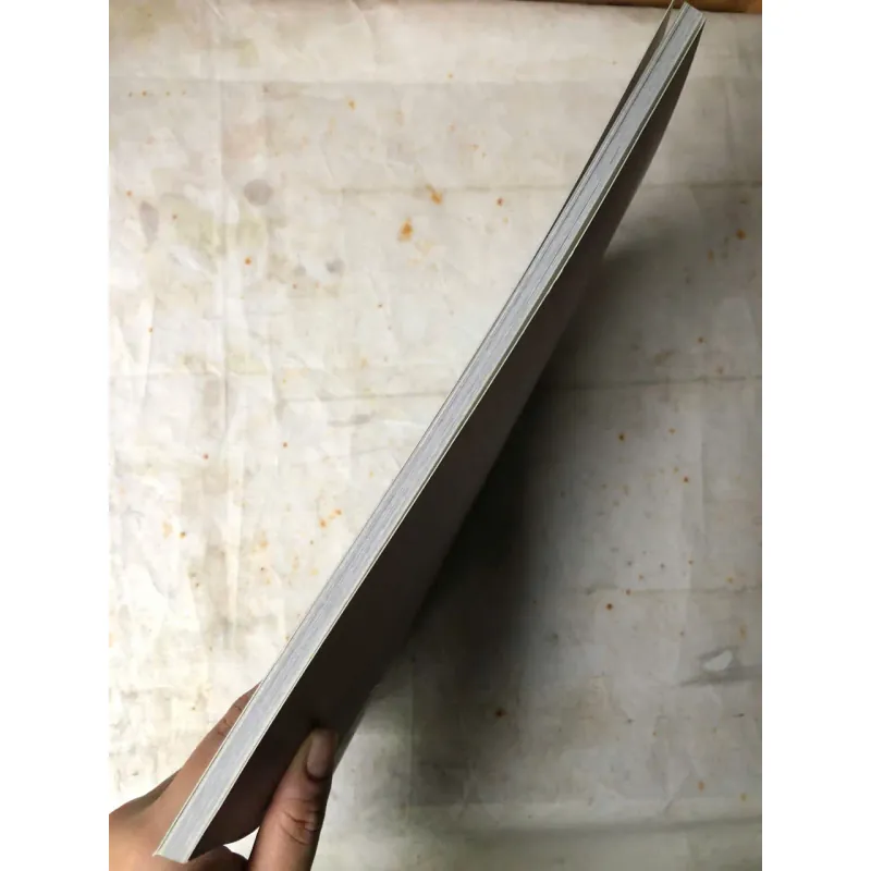 Cổ Tích Dưới Bóng Sồi Ngàn Tuổi - M. Rovere & F. Pillot 745471