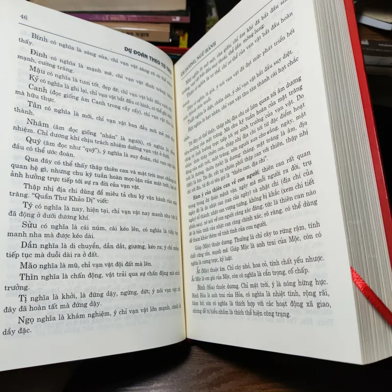 Dự Đoán Theo Tứ Trụ - Thiệu Vĩ Hoa  1021247