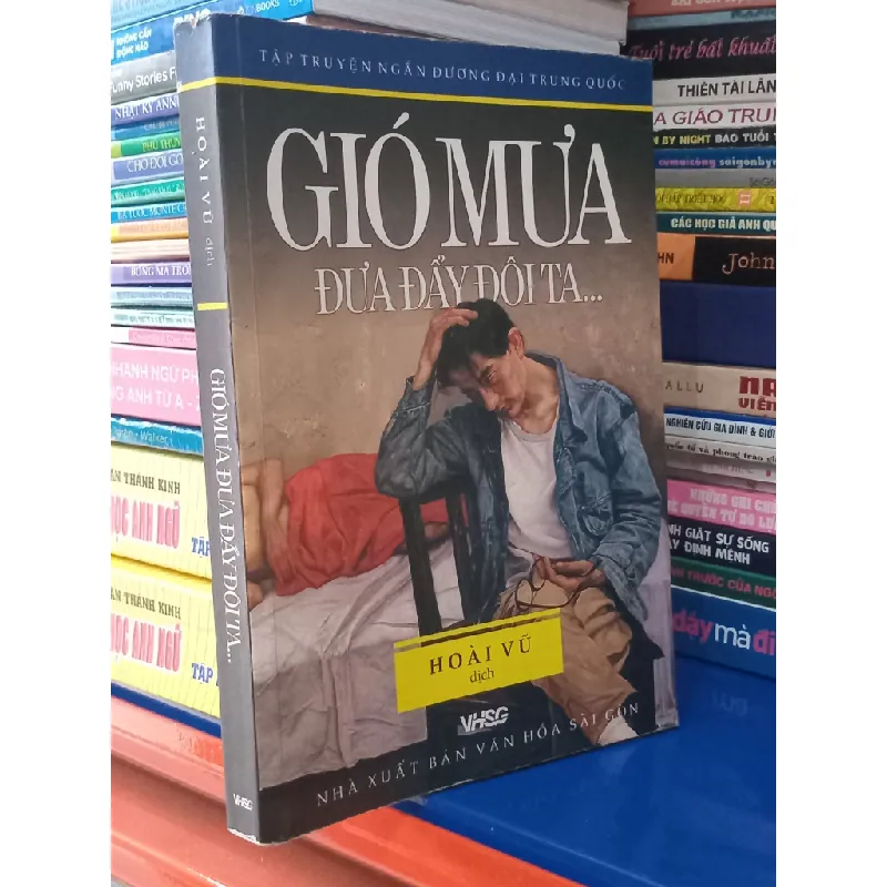 Gió mưa đưa đẩy đôi ta - Hoài Vũ dịch 603188