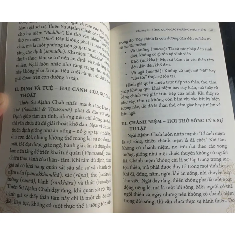 Tứ Niệm Xứ - Hành Trình Minh Sát Qua Các Phương Pháp Thiền 796147