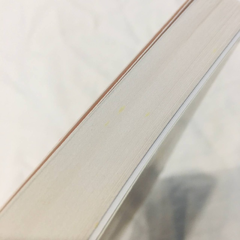 Book - Goodbye Things : On Minimalist Living 60479