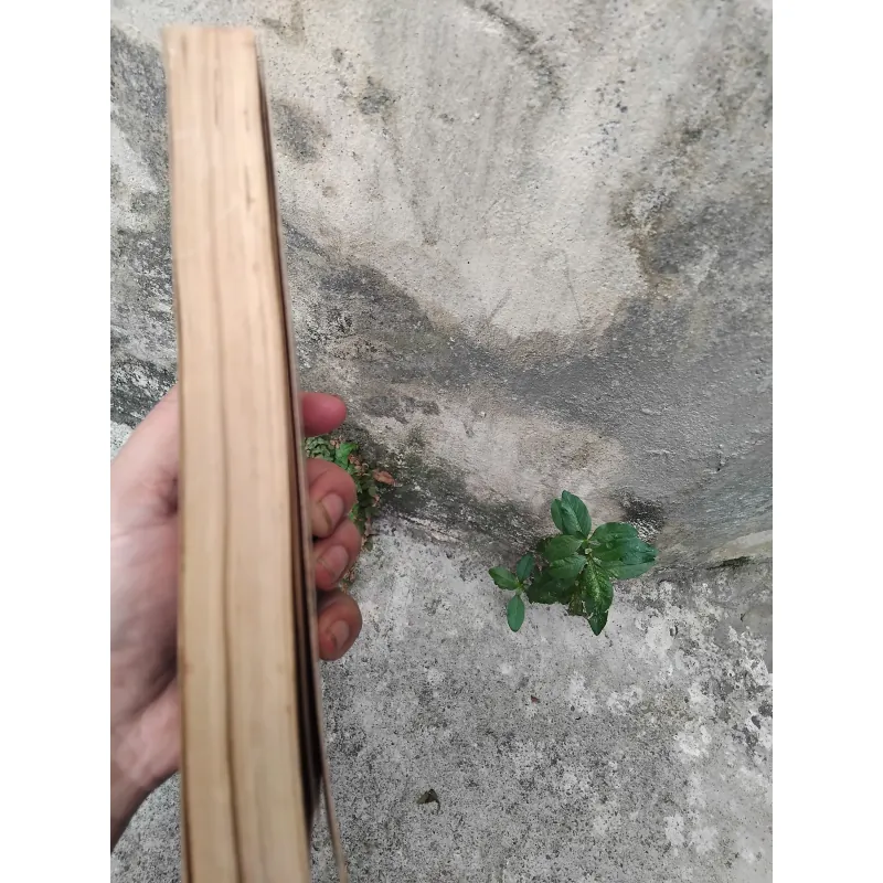 Thiền học Trần Thái Tông của GS Nguyễn Đăng Thục  1019145