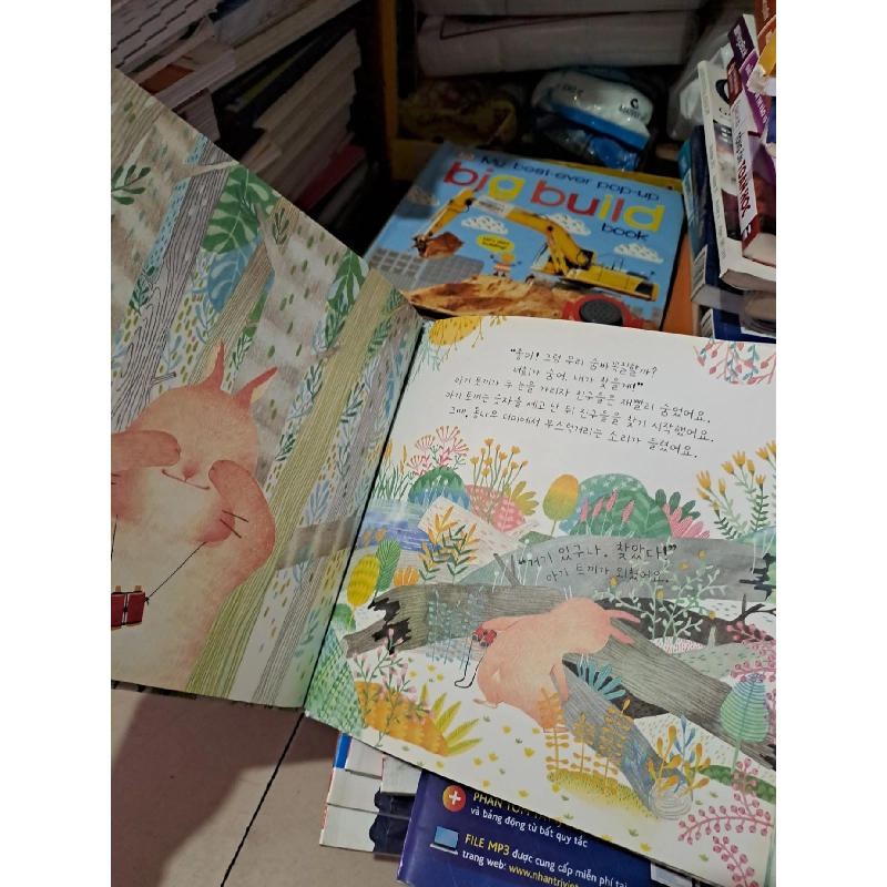 Truyện tranh tiếng hàn con mèo hồng và bông hoa tím mới 90% bìa cứng HCM0808 Sách ngoại văn 924295