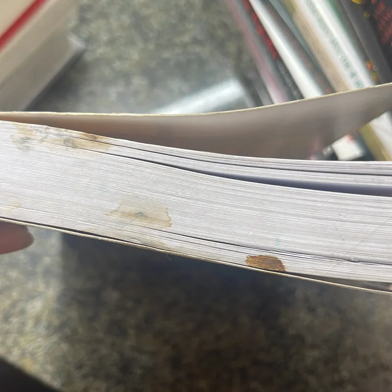 The glass palace Amitav Ghosh 674041