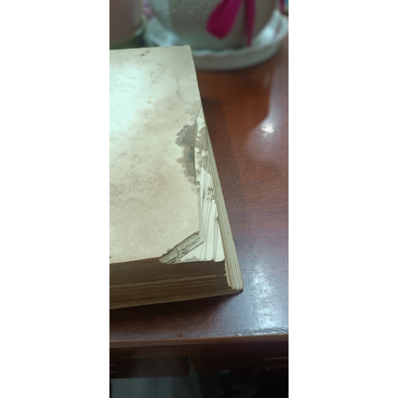 CÂY CỎ MIỀN NAM VIỆT NAM - Phạm Hoàng Hộ 194860