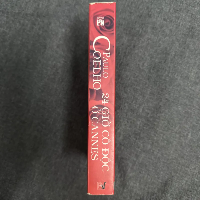 Sách 24 giờ cô độc ở Cannes - Paulo Coelho 748643