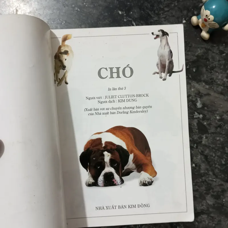 Sách Bách Khoa Tri Thức Bằng Hình: Loài Chó (NXB Kim Đồng) 1007223