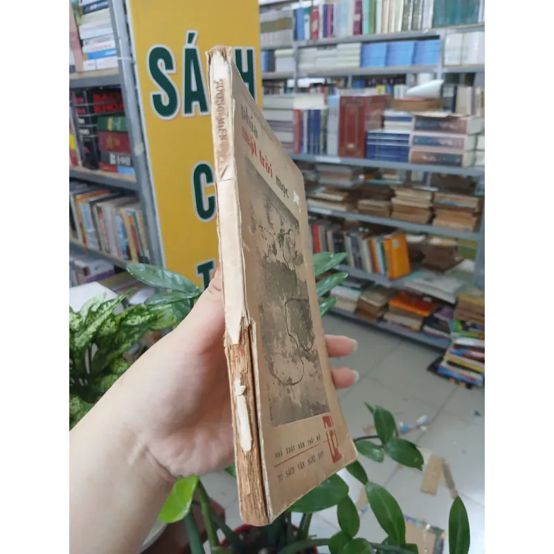 PHÍA MẶT TRỜI MỌC - CHU VƯƠNG MIỆN 997073