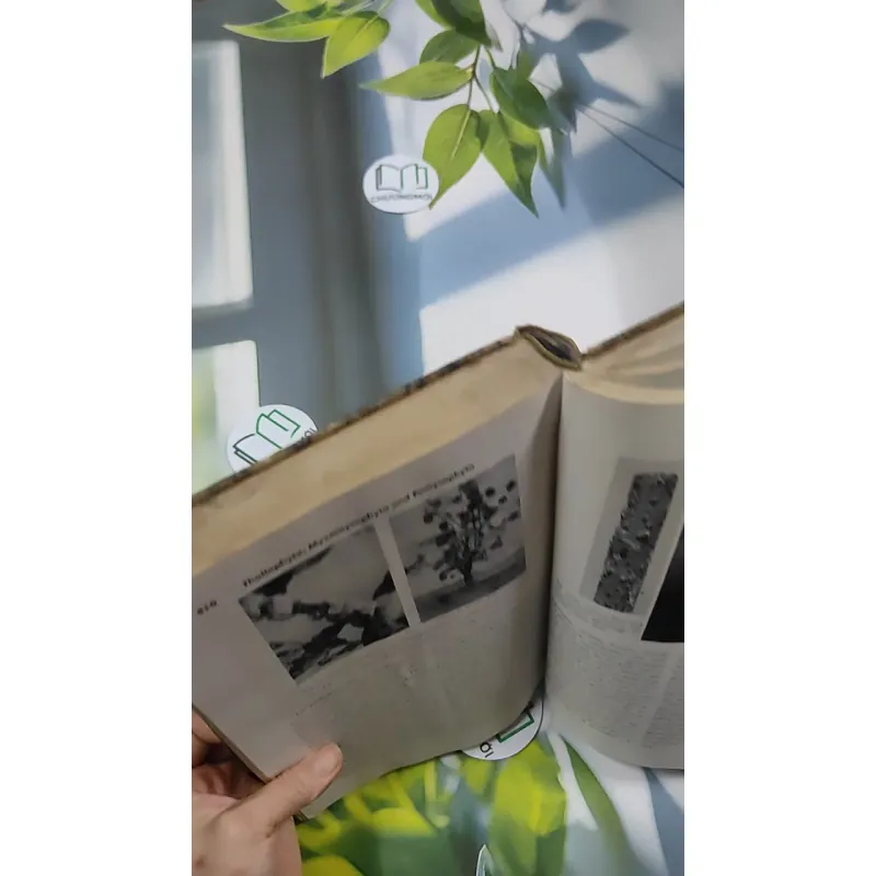 [MIỄN PHÍ BỌC SÁCH] The Plant World - Harry J. Fuller 750801