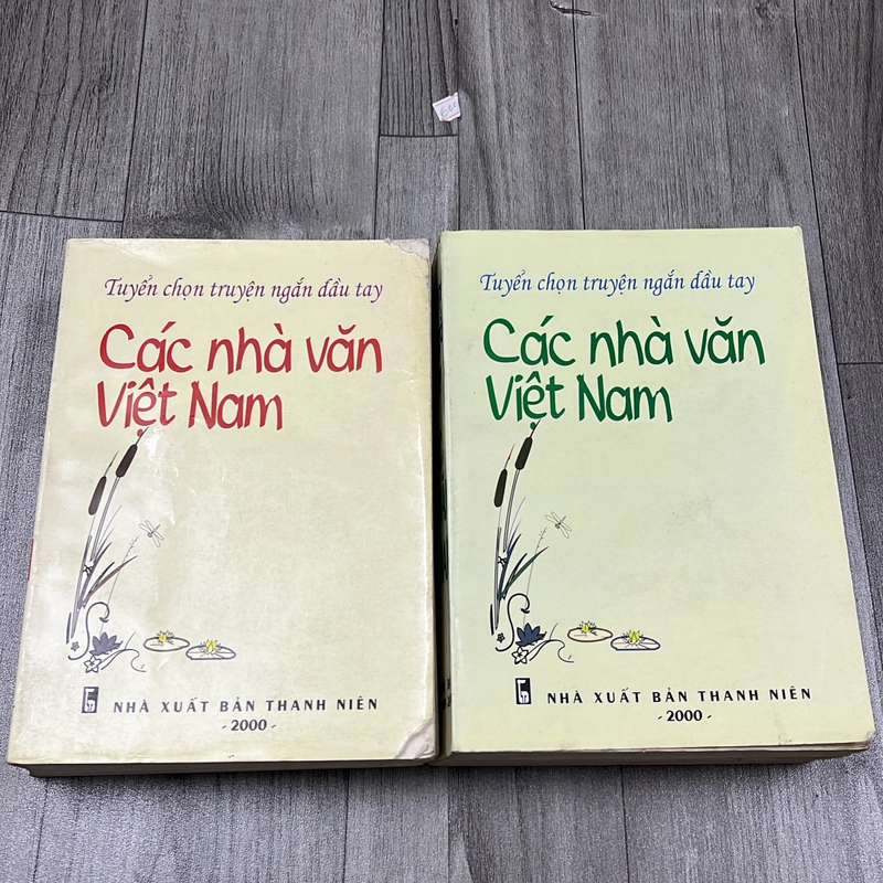 Tuyển chọn truyện ngắn đầu tay các nhà văn việt nam. 6b3 545020