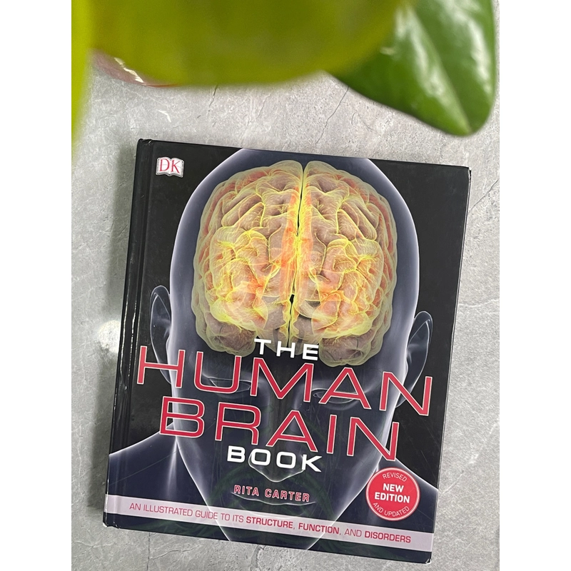 The human brain book 313071