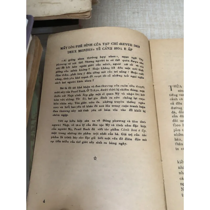 Cánh hoa e ấp  995292