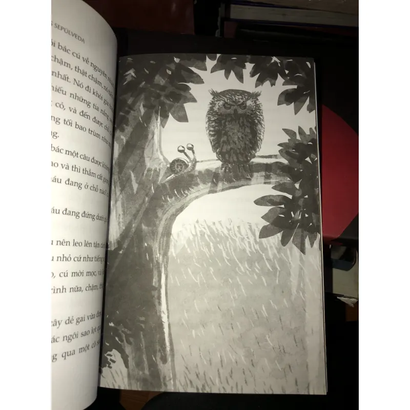 Chuyện con ốc sên muốn biết tại sao nó chậm chạp - Luis Sepúlveda 993637