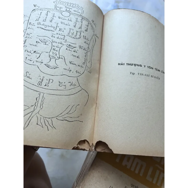 Hải thượng y tôn tâm lĩnh - Lê Hữu Trác (Hoàng Văn Hoè dịch) 751803