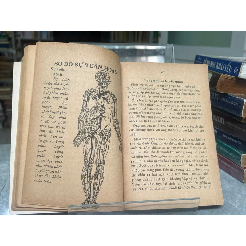 VIỆT NAM Y HỌC THỰC NGHIỆM- ĐỖ PHONG THUẦN 552976