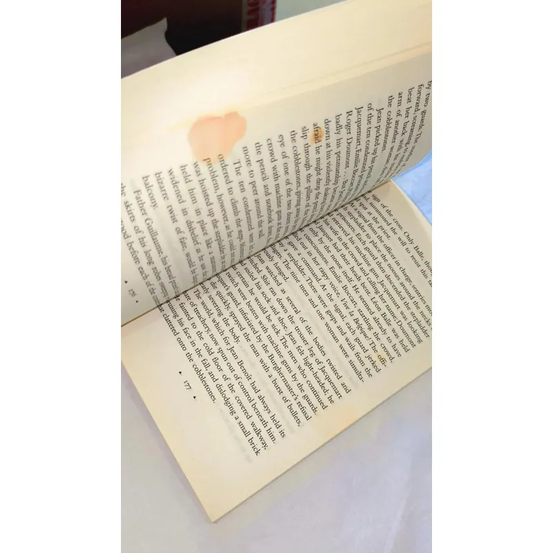 Literary / Psychological Fiction – Anita Shreve | RESISTANCE (bị bẩn vài trang) 749570