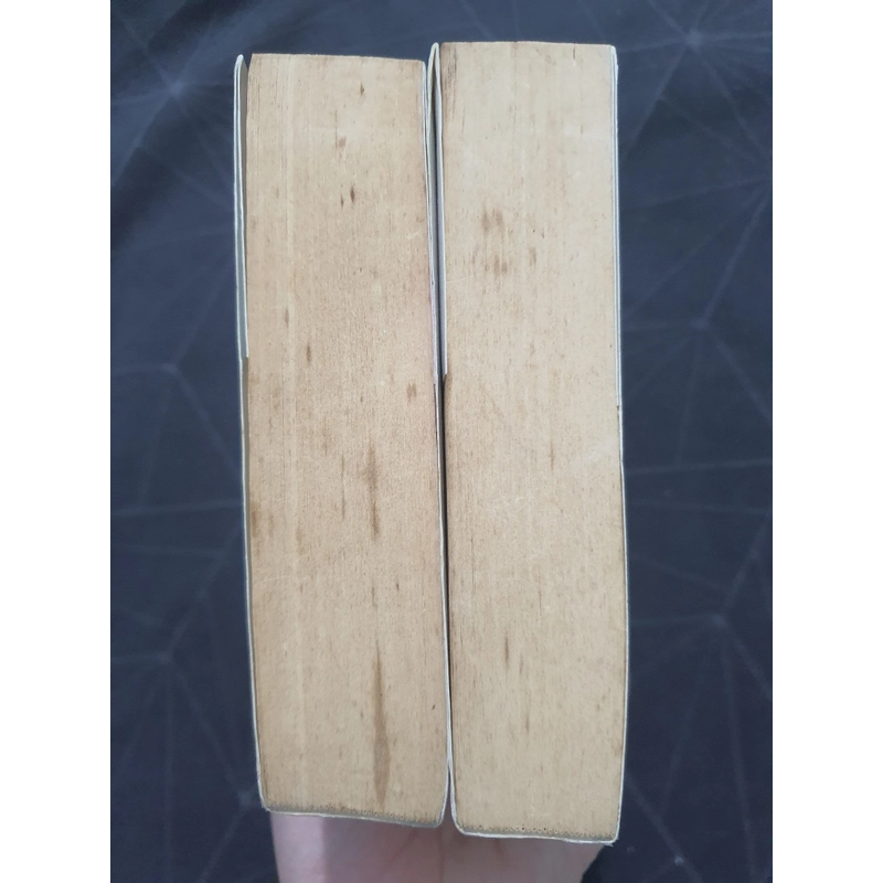 Combo "Mưa nhỏ hồng trần" 2 tập- Trang Trang 476768