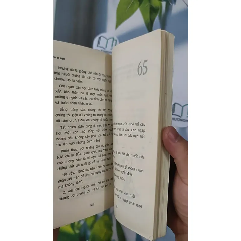 Tôi là Bê tô - Nguyễn Nhật Ánh 798380