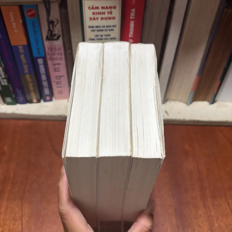 II Làng Lăng Tiếu Tiếu Sinh: Kim Bình Mai (3 Tập) - Nguyễn Quốc Hùng (Dịch) - 2016 789390