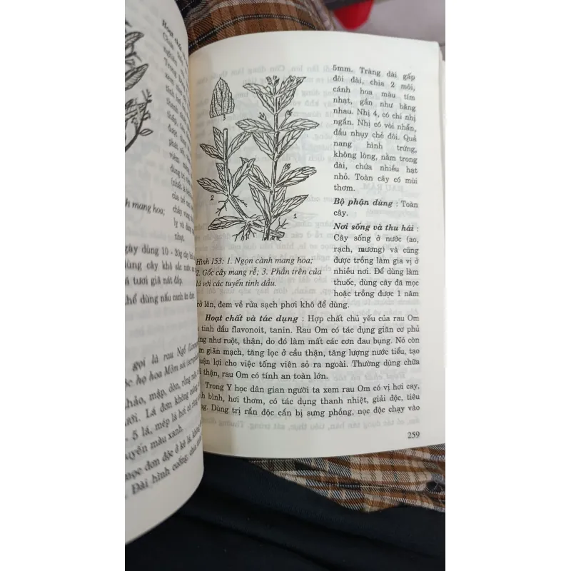 CÂY THUỐC TRỊ BỆNH THÔNG DỤNG - VÕ VĂN CHI 746969