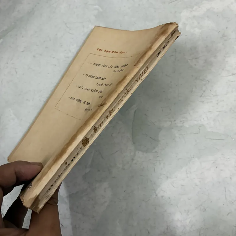Tình yêu cuồng nhiệt - Azit Nexin 1030861