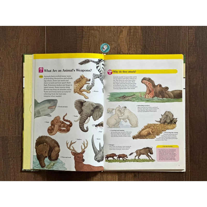 [Bìa cứng] DANGEROUS ANIMALS (A Child’s First Library of Learning) 224341