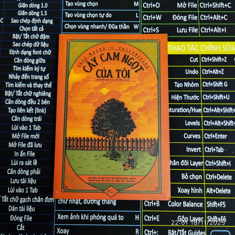 Cây Cam Ngọt Của Tôi - Jose Mauro de Vasconcelos 701068