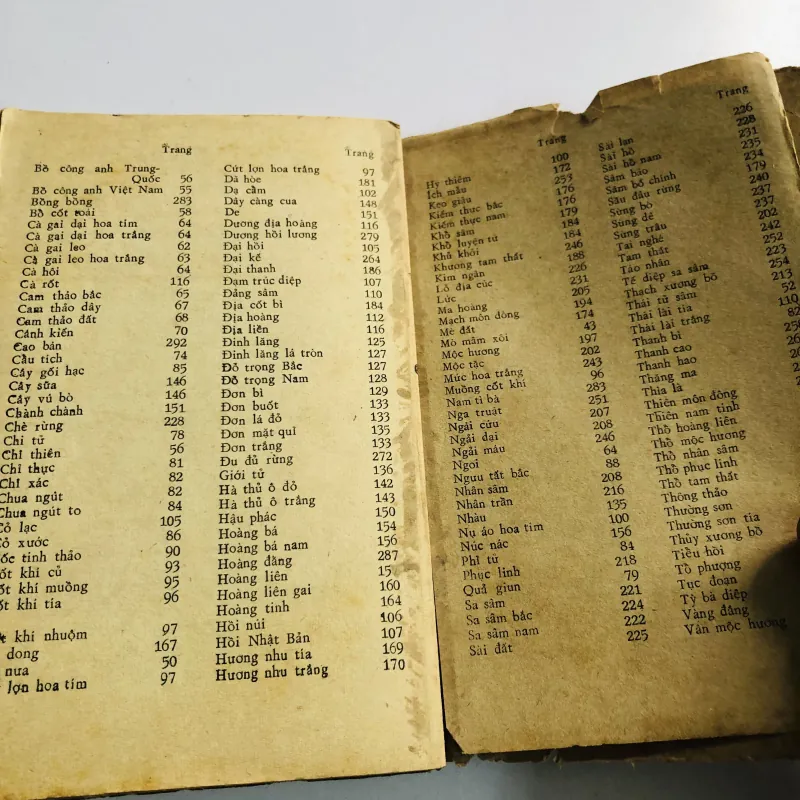 PHÂN BIỆT VÀ CHỐNG NHẦM LẪN DƯỢC LIỆU 1981 796540