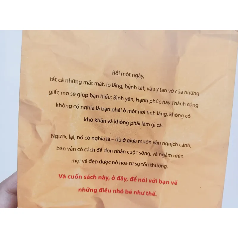 1000 Điều Nhỏ Bé - Nghịch Cảnh Là Một Món Quà 800970