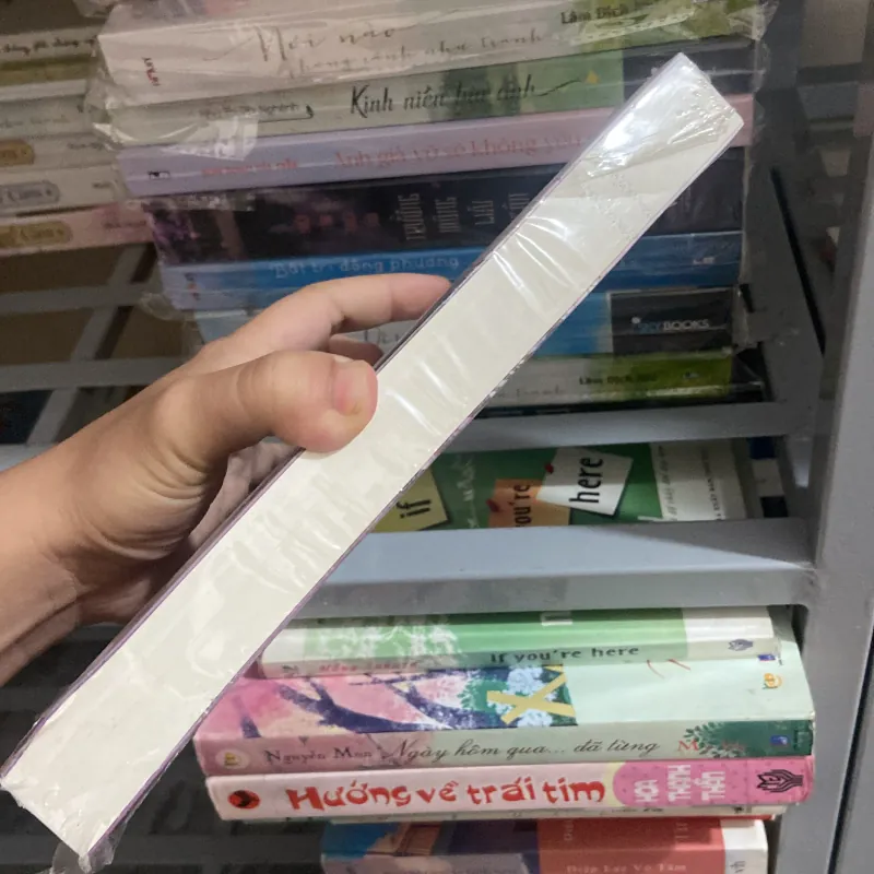 Mùa Đông Dài - Chiết Nhĩ Miêu 960090