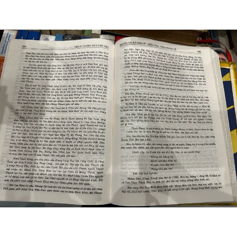 Việt Sử cương mục thiết yếu - Đặng Xuân Bảng 629008