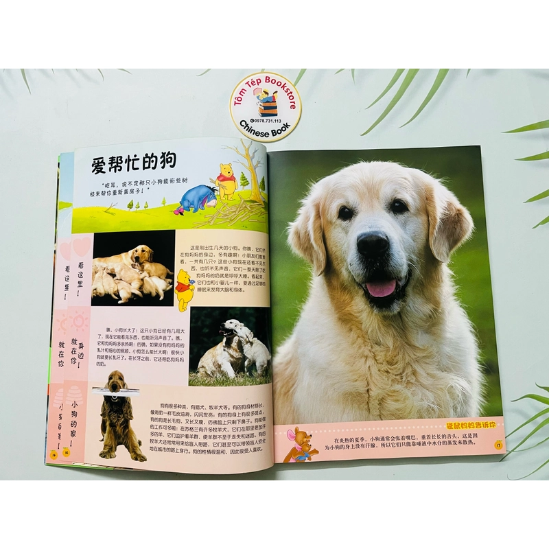 Winnie the Pooh Bách khoa thư đầu tiên cho bé- Tiếng Trung 478979