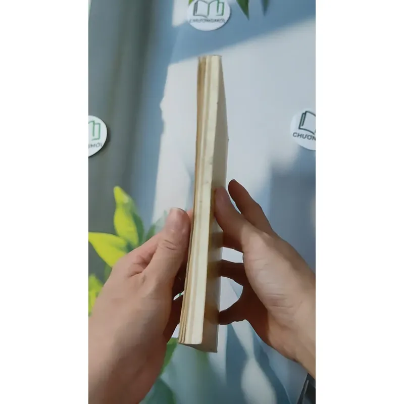 Đời Sống Đa Minh - Walter Wagner 928542