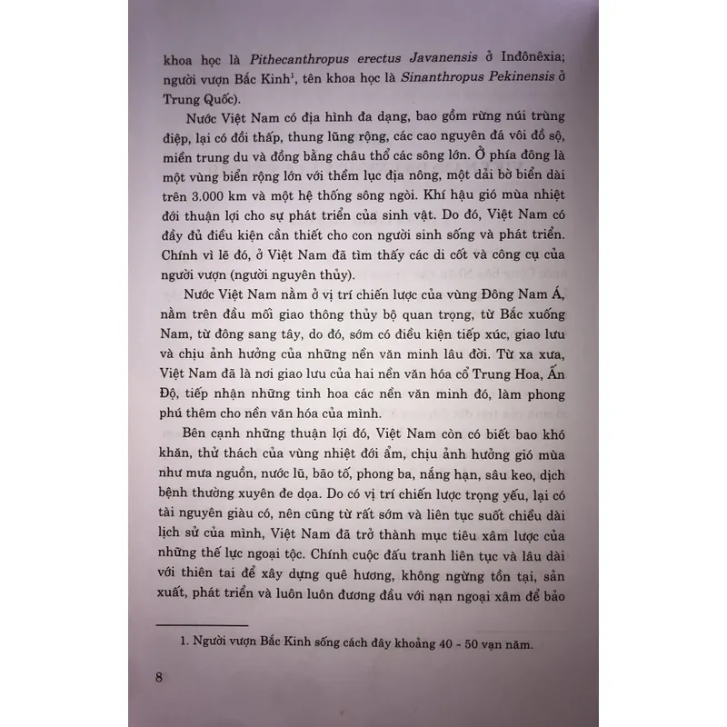 Lịch sử Việt Nam giản yếu 740447