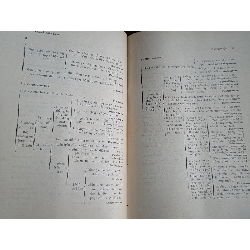 Cây cỏ miền nam Việt Nam - Phạm Hoàng Hộ ( trọn bộ 2 tập ) 128641