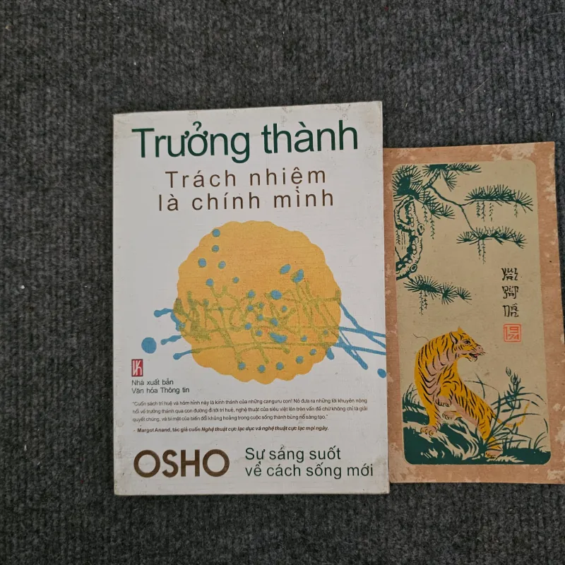 Trưởng thành trách nhiệm là chính mình - osho 753274