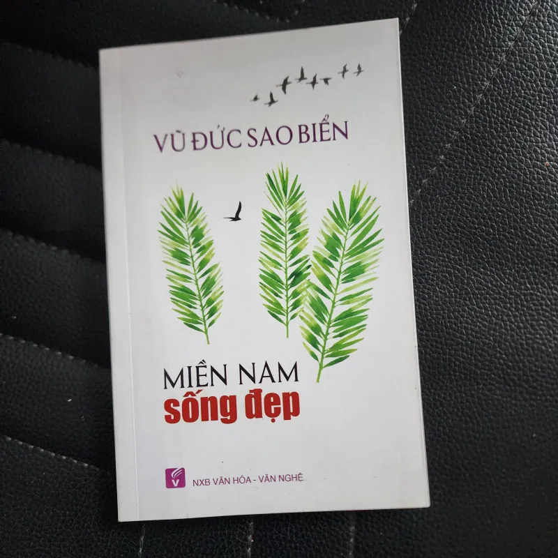 Miền nam sống đẹp | vũ đức sao biển  931041